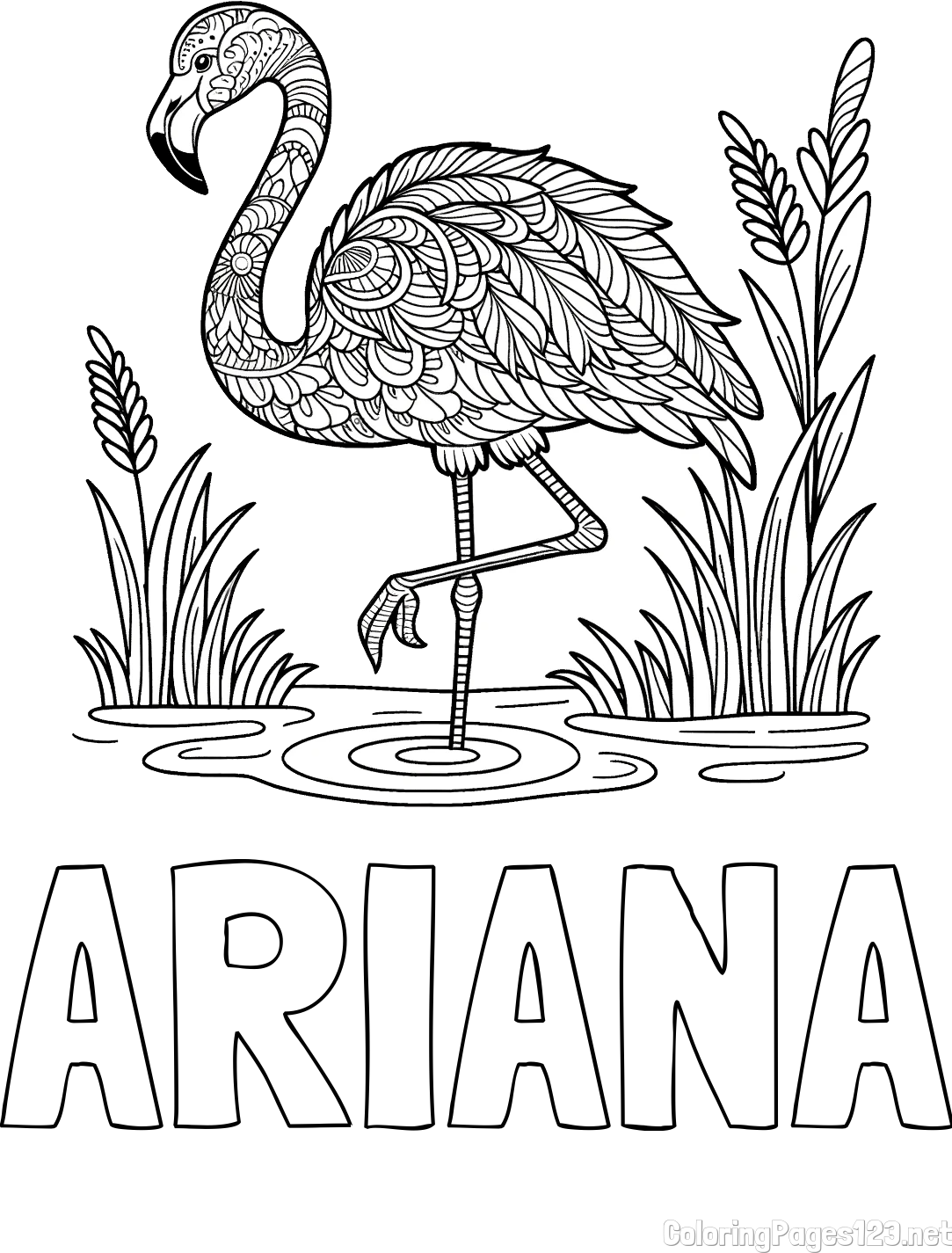 ARIANA Coloring Page alongside Coloring Page of an Artistically Depicted Flamingo