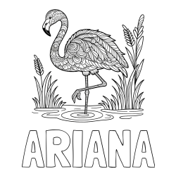 ARIANA Coloring Page alongside Coloring Page of an Artistically Depicted Flamingo