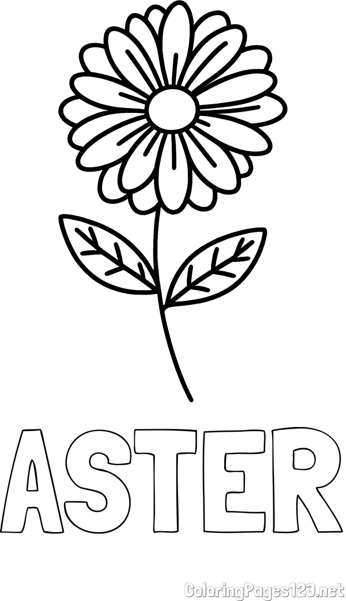 ASTER Coloring Page and Flower Coloring Page
