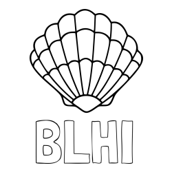 Online Created Coloring Page - BLHI Coloring Page and Easy Seashell Coloring Page