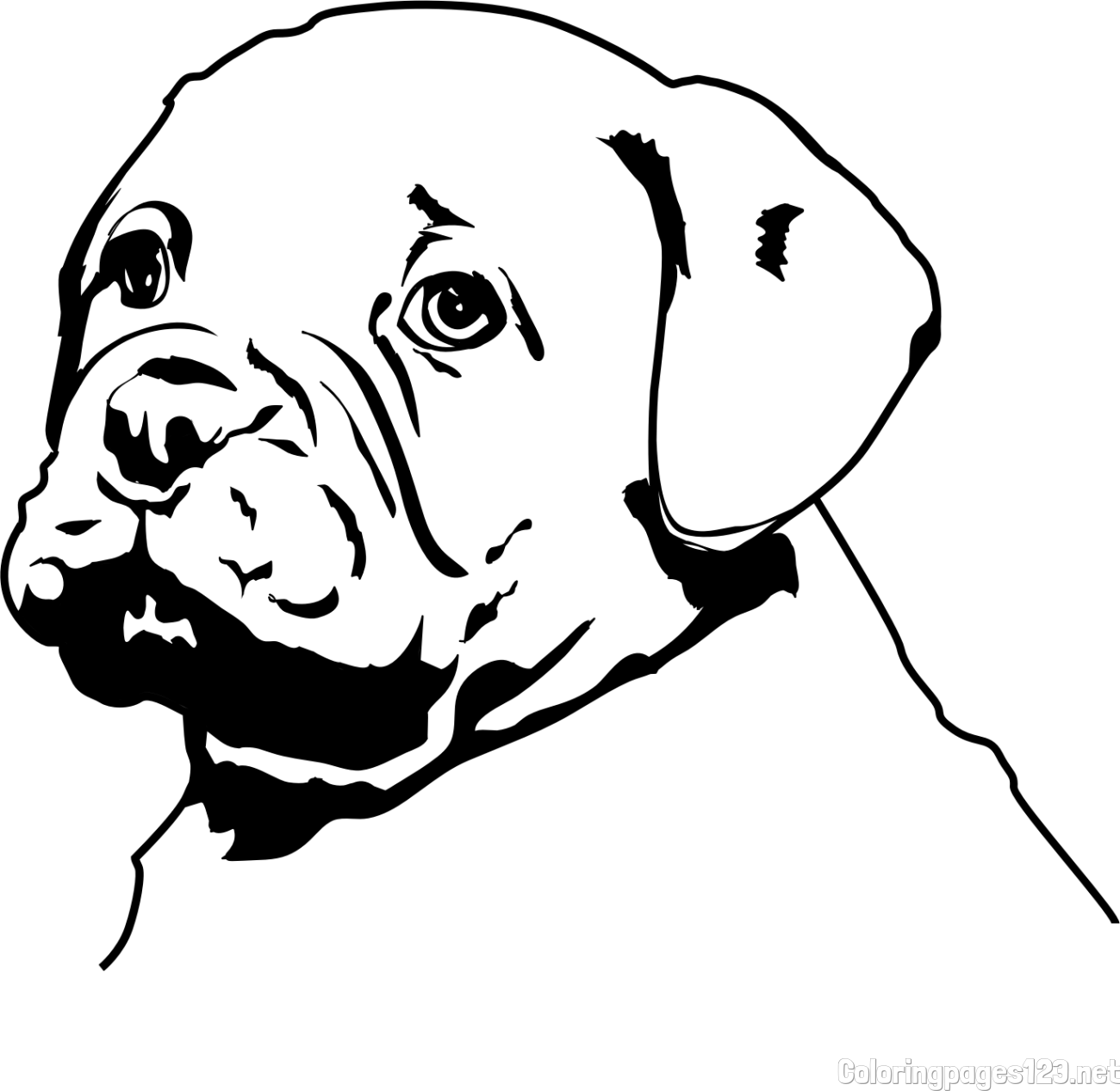 The Coloring Page of an Adorable Bulldog Puppy