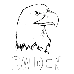 Online Created Coloring Page - CAIDEN Coloring Page and American Bald Eagle Head Coloring Page