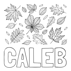 Online Created Coloring Page - CALEB Coloring Page and Autumn Leaves Coloring Page