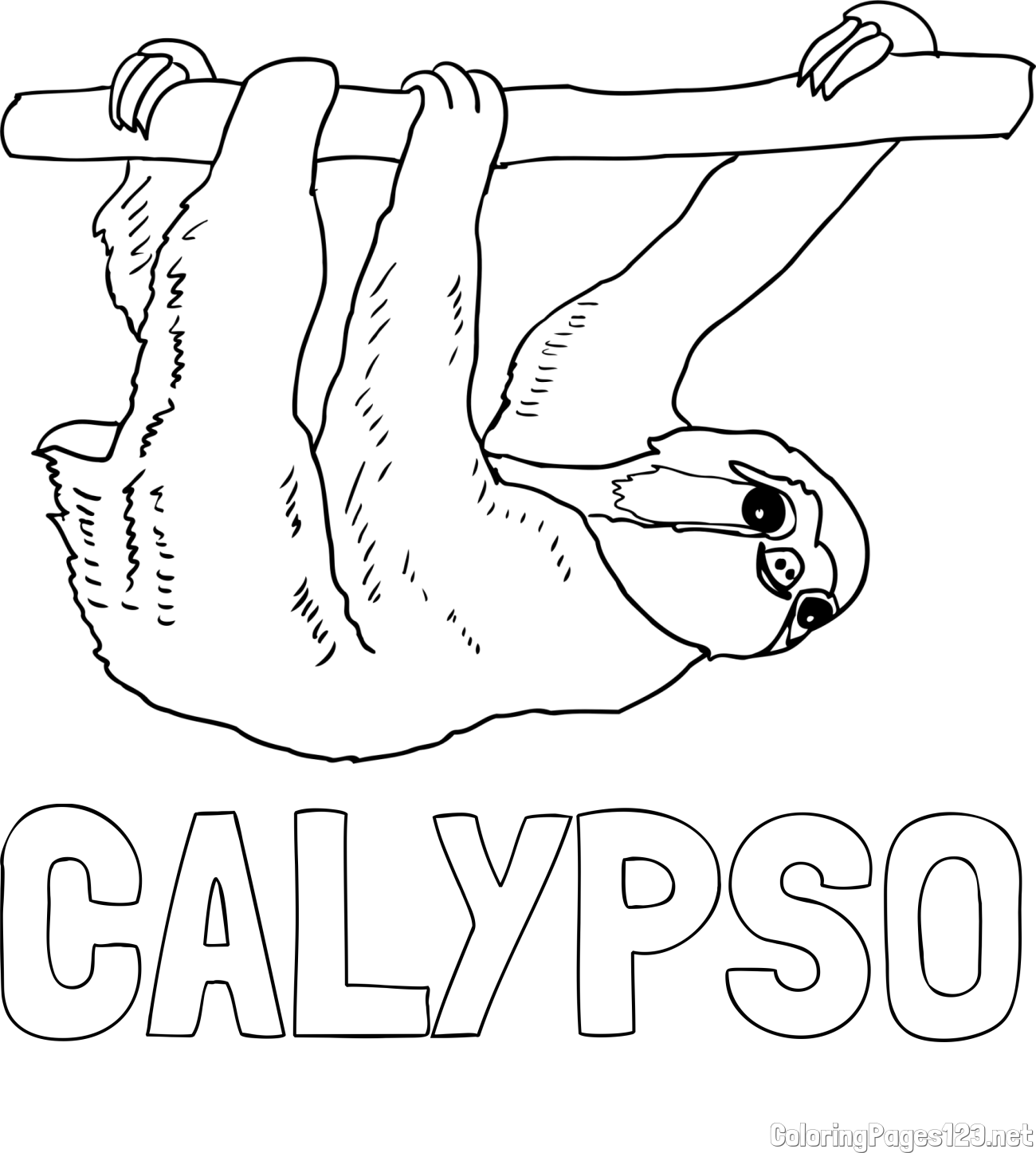 CALYPSO Coloring Page and Cute Sloth Coloring Page for Kids