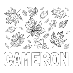 Online Created Coloring Page - CAMERON Coloring Page and Autumn Leaves Coloring Page