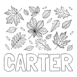 Online Created Coloring Page - CARTER Coloring Page and Autumn Leaves Coloring Page
