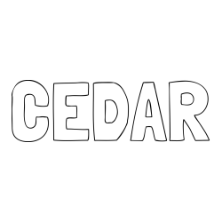 Online Created Coloring Page - CEDAR Coloring Page