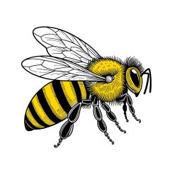 Pobarvana pobarvanka - Coloring Book of a Realistic Bee