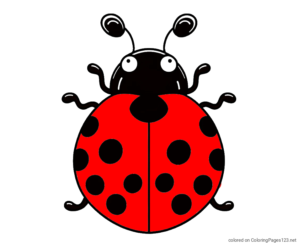 Colored coloring page - Easy Ladybug Coloring Page
