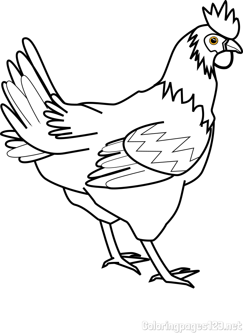 Coloring Page of a Hen