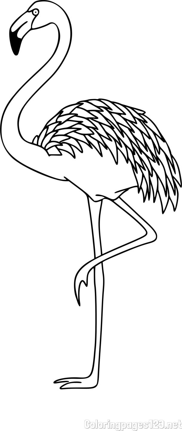 Coloring Page of a Flamingo