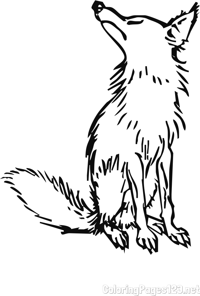 Easy Coloring Page of an Old Fox
