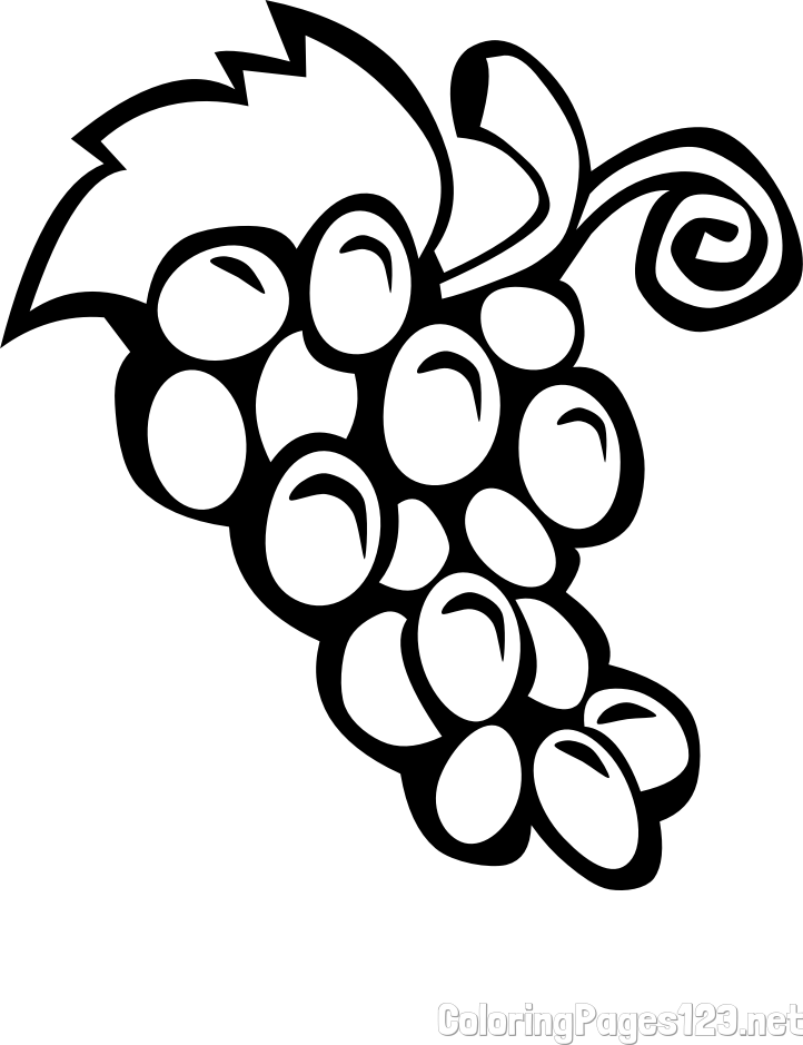 Easy  Grape Coloring Page for Kids