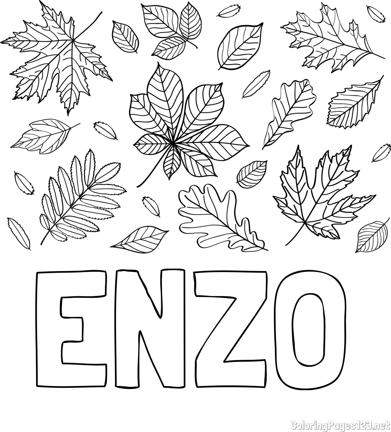 ENZO Coloring Page and Autumn Leaves Coloring Page
