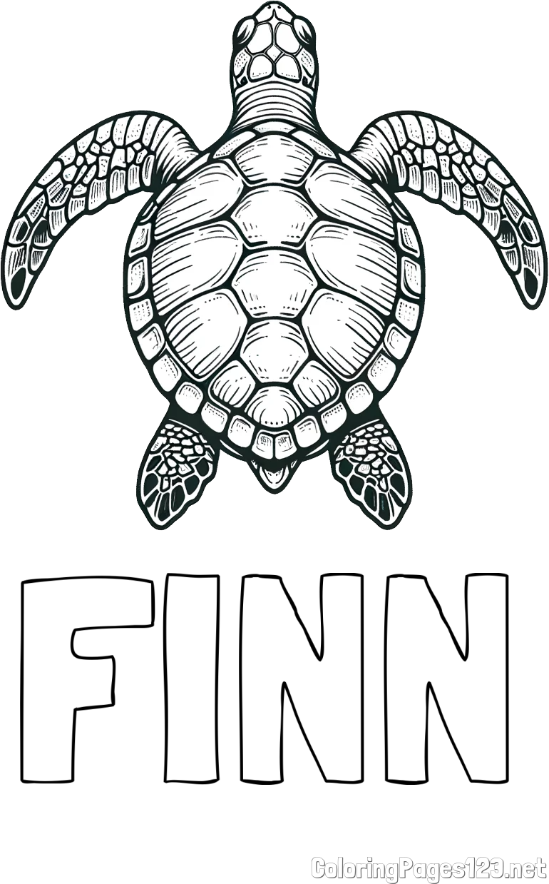 FINN Coloring Page and Coloring Page of a Sea Turtle from Top