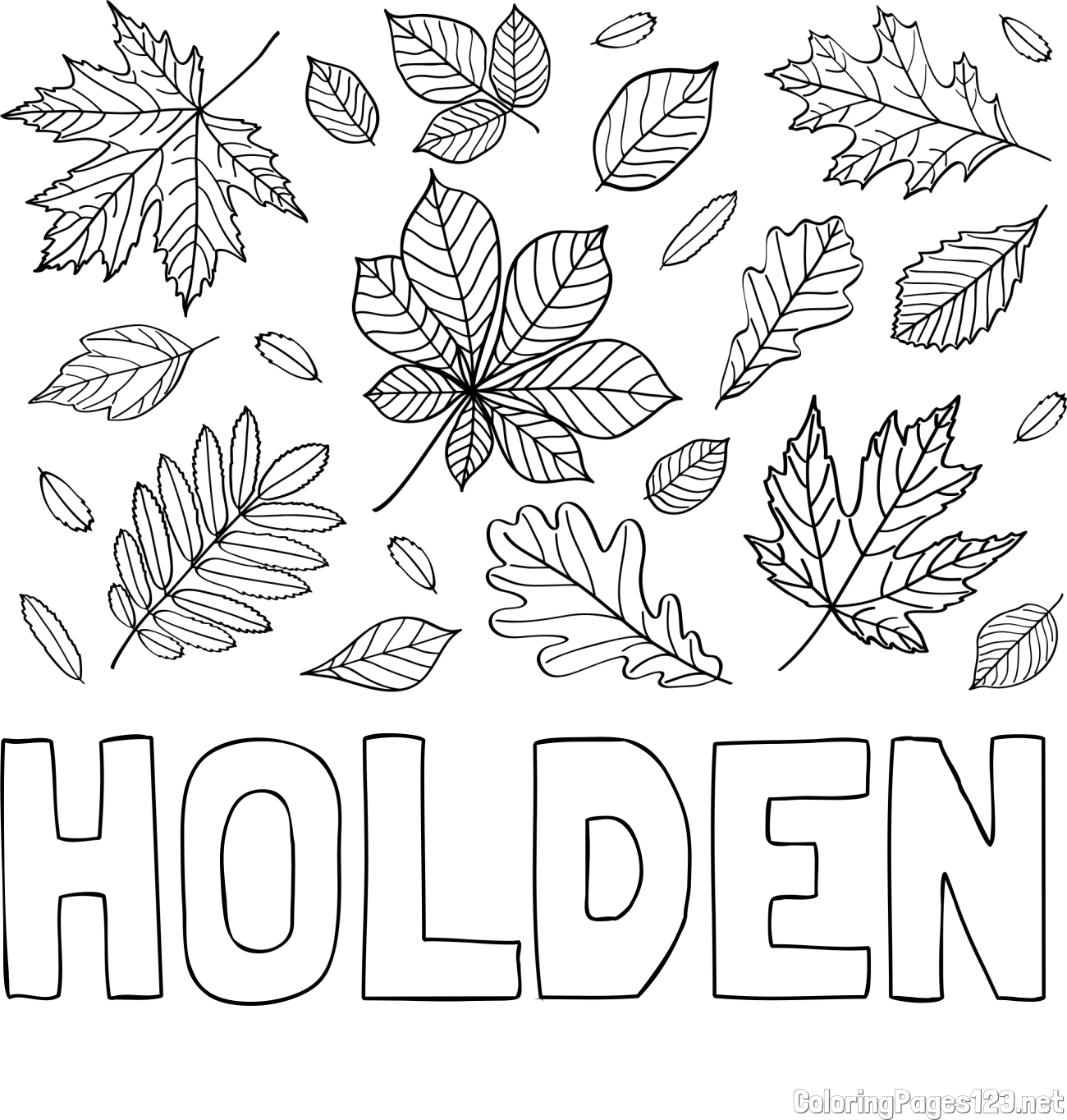 HOLDEN Coloring Page and Autumn Leaves Coloring Page
