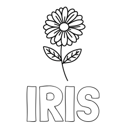 Online Created Coloring Page - IRIS Coloring Page and Flower Coloring Page