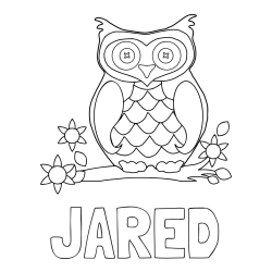 Online Created Coloring Page - JARED Coloring Page and Owl on a Branch Coloring Page
