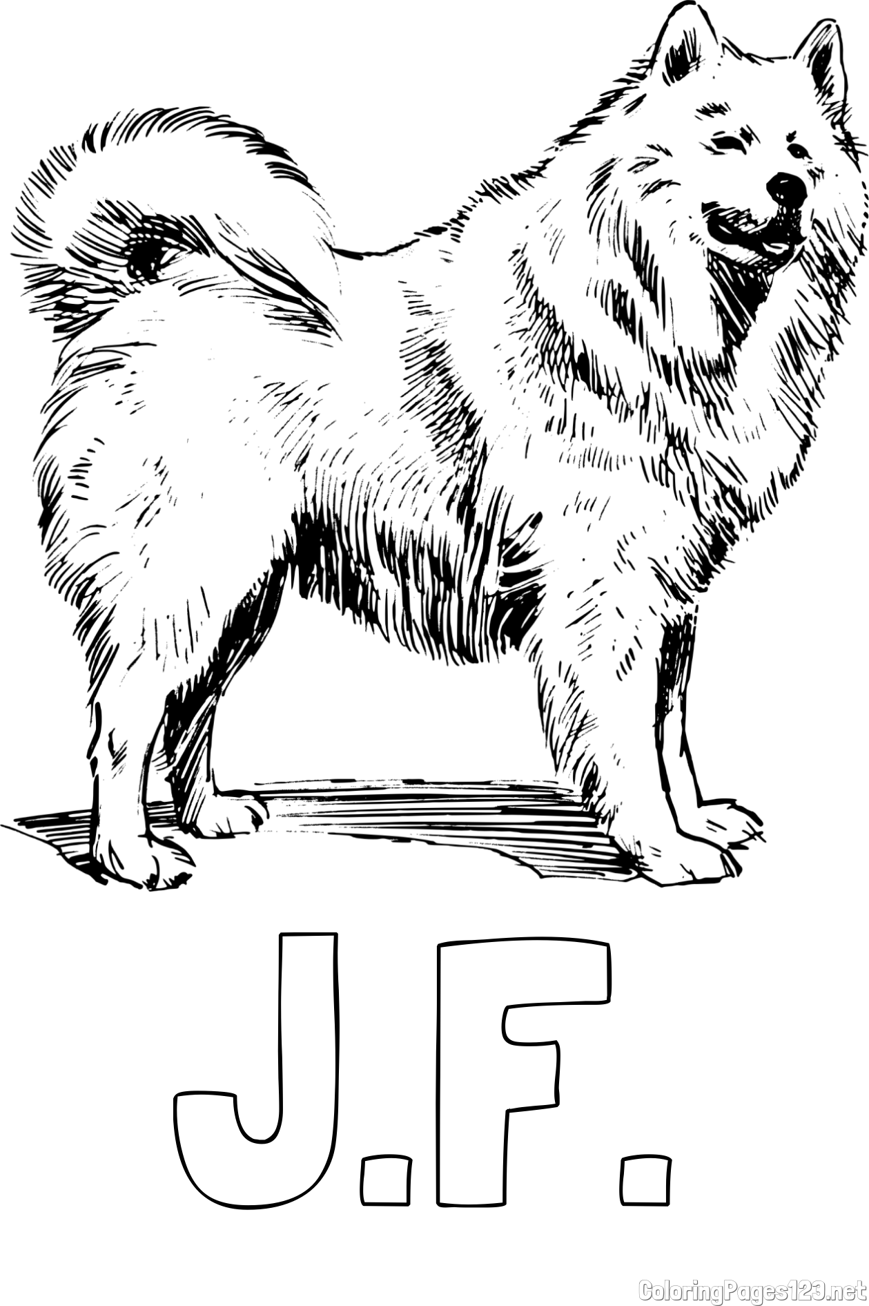J.F. Coloring Page and Coloring Page of a Beautiful Siberian Husky