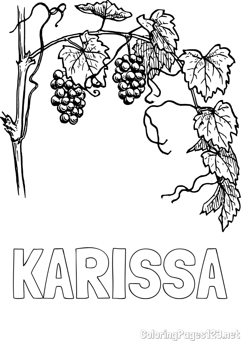 KARISSA Coloring Page and Realistic Vineyard Coloring Page