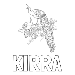 Online Created Coloring Page - KIRRA Coloring Page and Two Peacocks on a Branch Coloring Page
