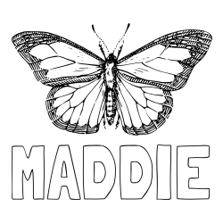 Online Created Coloring Page - MADDIE Coloring Page and Coloring Page of a Realistic Butterfly