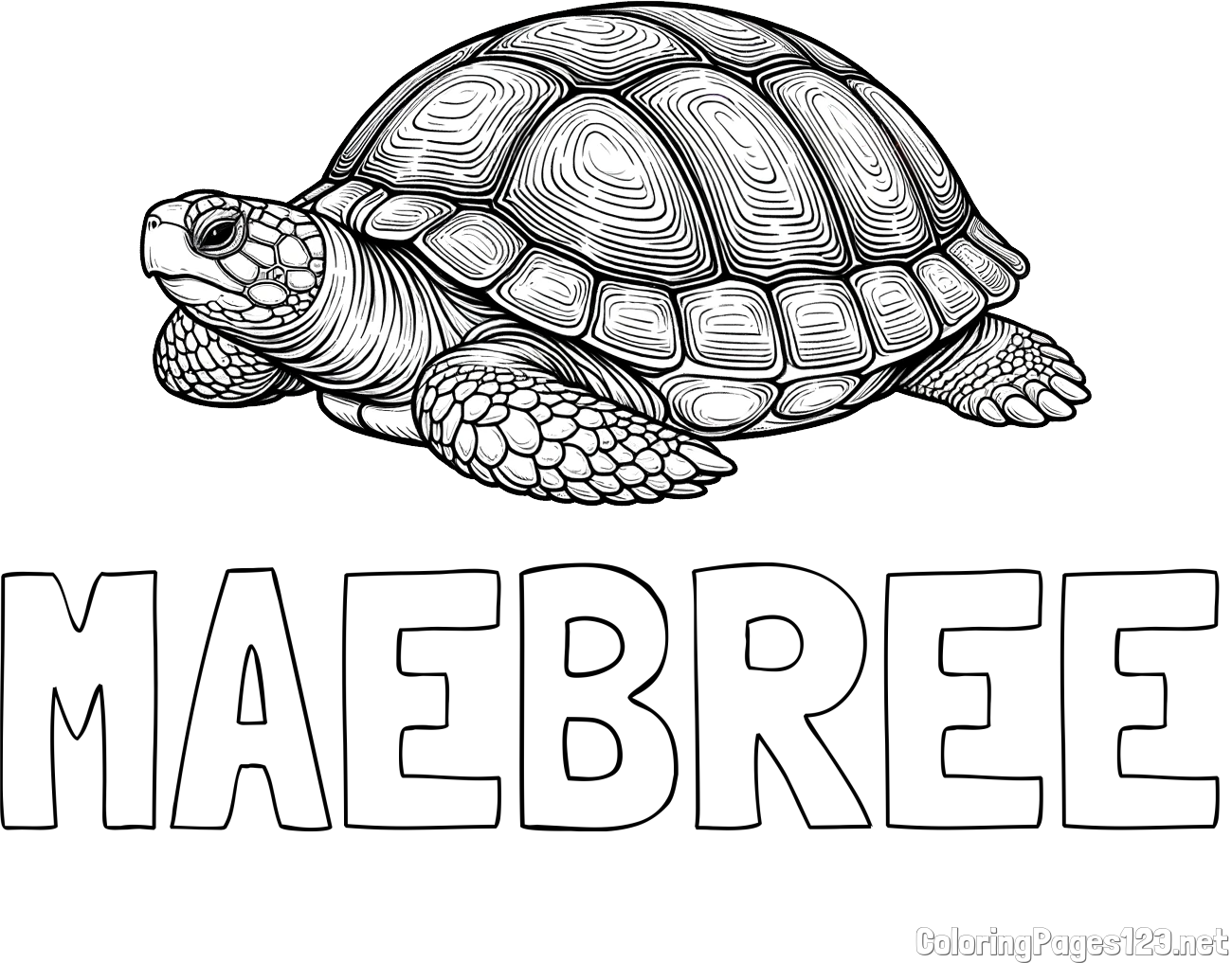 MAEBREE Coloring Page and Turtle Coloring Page for Adults
