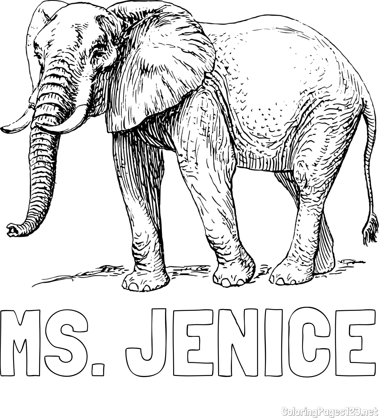 MS. JENICE Coloring Page and Realistic Elephant Coloring Page