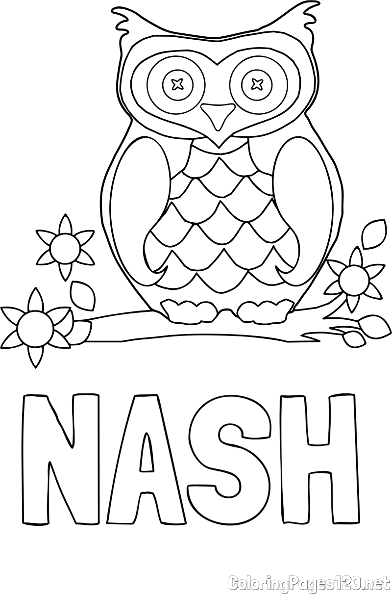 NASH Coloring Page and Owl on a Branch Coloring Page