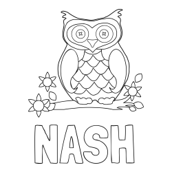Online Created Coloring Page - NASH Coloring Page and Owl on a Branch Coloring Page
