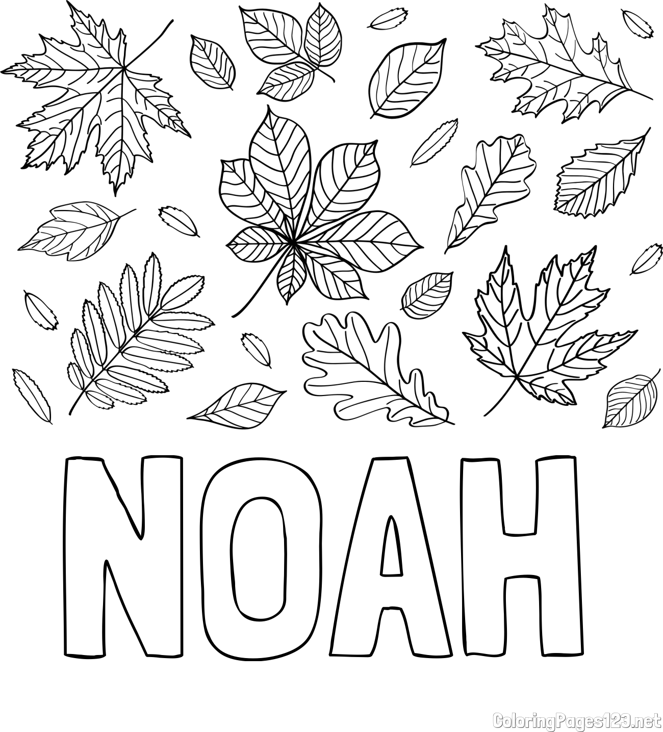 NOAH Coloring Page and Autumn Leaves Coloring Page