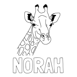 Online Created Coloring Page - NORAH Coloring Page and Beautiful Coloring Page of a Giraffe's Head