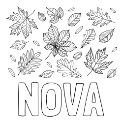 Online Created Coloring Page - NOVA Coloring Page and Autumn Leaves Coloring Page