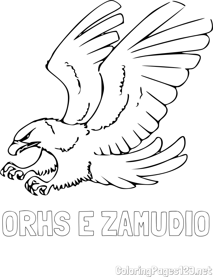 ORHS E ZAMUDIO Coloring Page and Eagle in Attack Pose Coloring Page