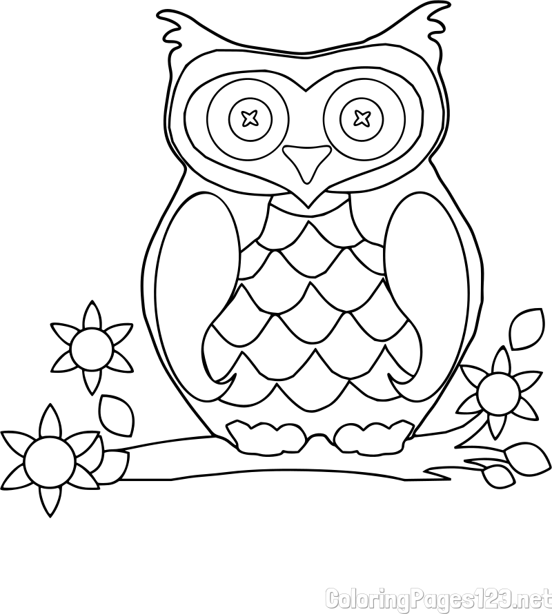 Owl on a Branch Coloring Page