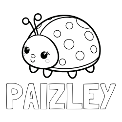 Online Created Coloring Page - PAIZLEY Coloring Page and Smiling Ladybug Coloring Page