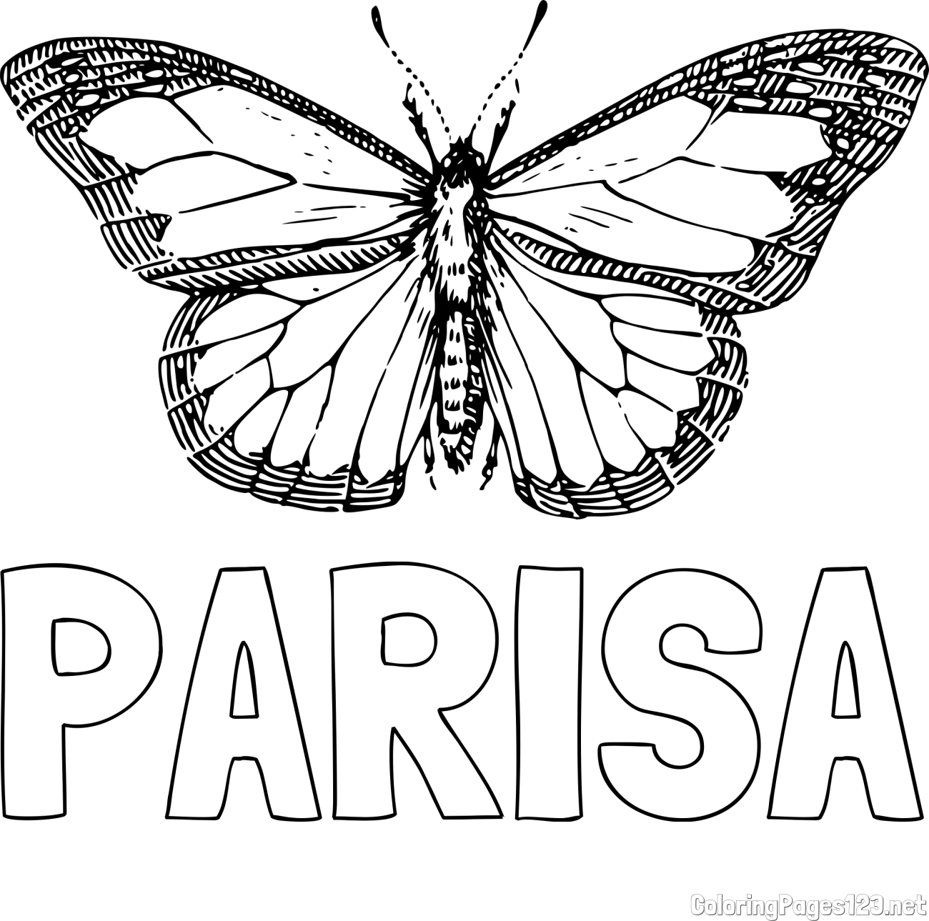 PARISA Coloring Page and Coloring Page of a Realistic Butterfly