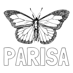 Online Created Coloring Page - PARISA Coloring Page and Coloring Page of a Realistic Butterfly