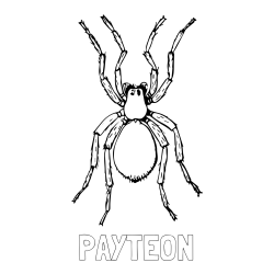 Online Created Coloring Page - PAYTEON Coloring Page alongside Realistic Tarantula Coloring Page