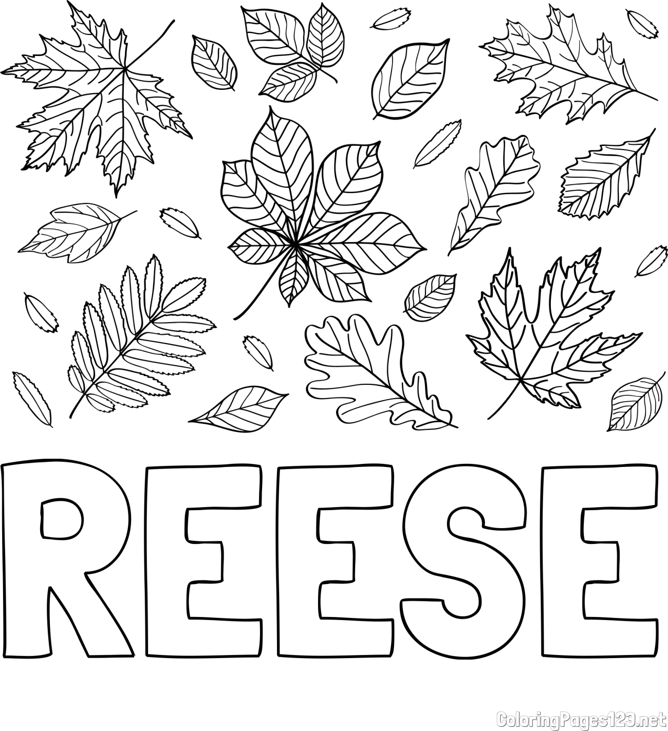 REESE Coloring Page and Autumn Leaves Coloring Page