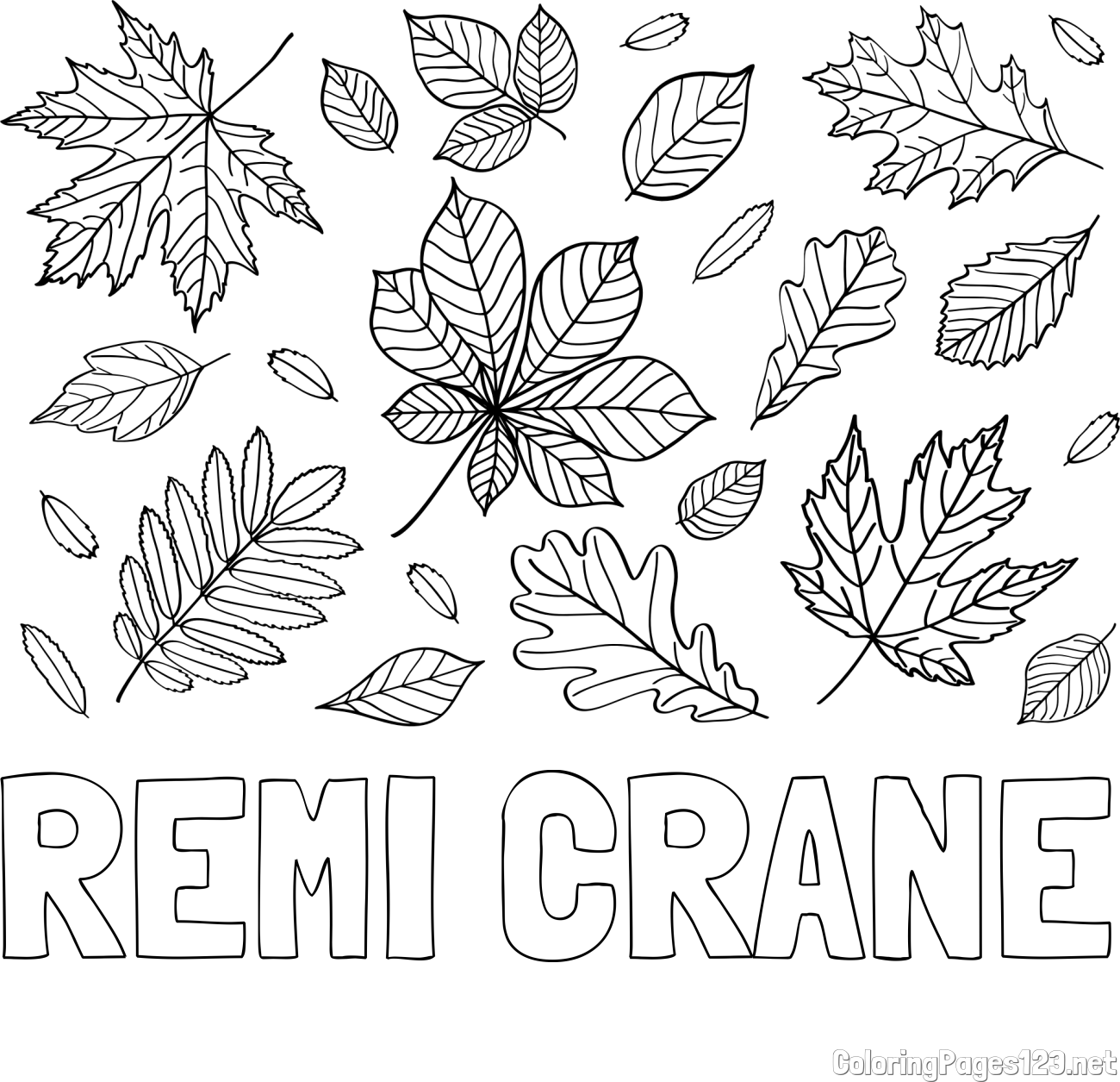 REMI CRANE Coloring Page and Autumn Leaves Coloring Page