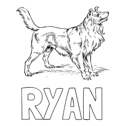 RYAN Coloring Page and Coloring Page of an Adorable Dog