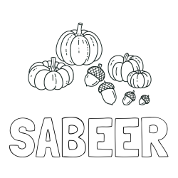 Online Created Coloring Page - SABEER Coloring Page and Autumn Harvest Coloring Page - Acorns and Pumpkins