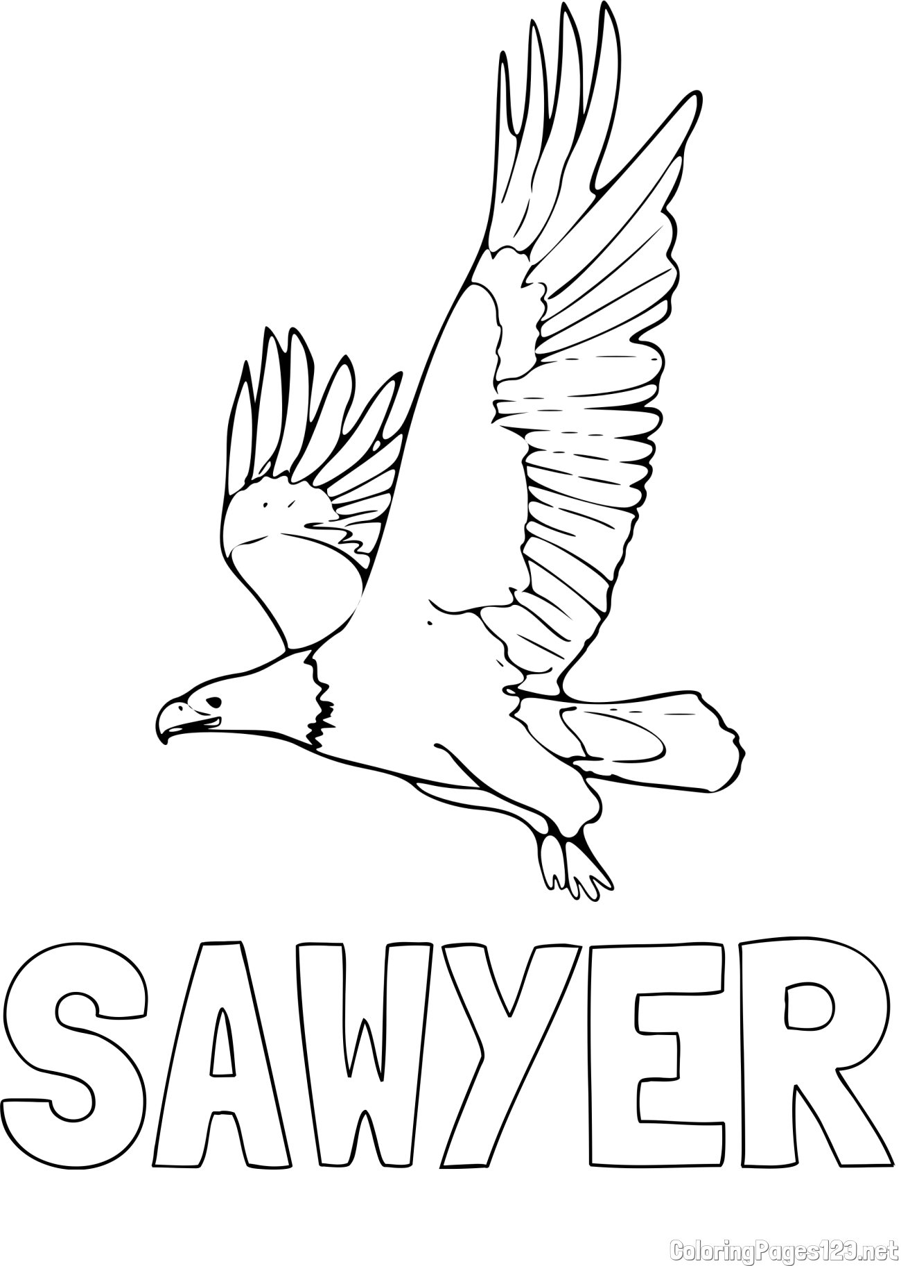 SAWYER Coloring Page and Majestic Eagle in Flight Coloring Page