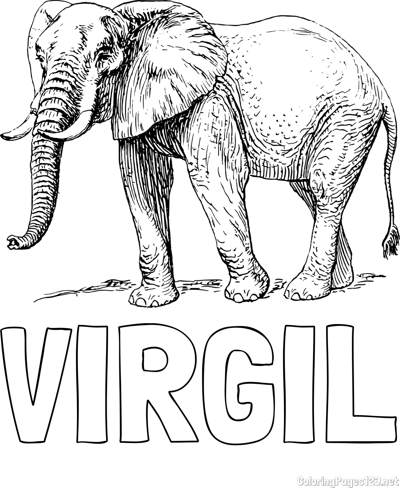 VIRGIL Coloring Page and Realistic Elephant Coloring Page