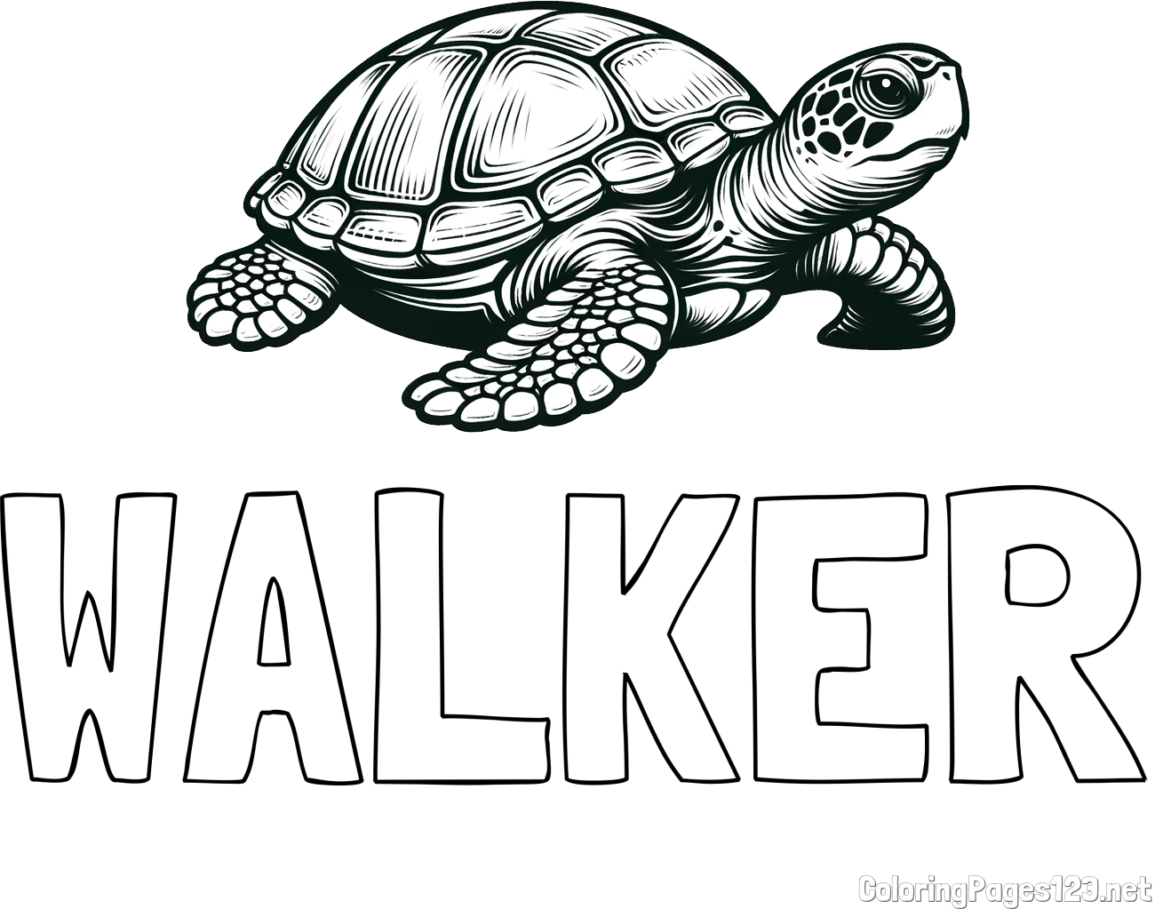 WALKER Coloring Page and Coloring Page of a Realistic Turtle