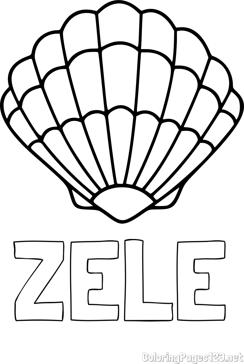 ZELE Coloring Page and Easy Seashell Coloring Page