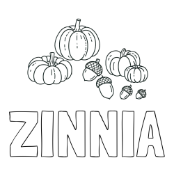 Online Created Coloring Page - ZINNIA Coloring Page and Autumn Harvest Coloring Page - Acorns and Pumpkins